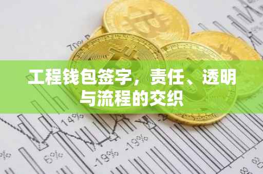 工程钱包签字，责任、透明与流程的交织