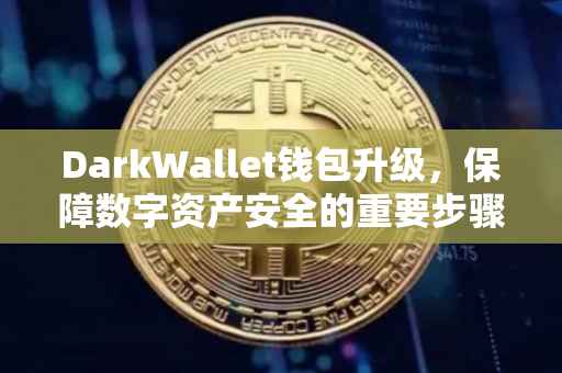 DarkWallet钱包升级，保障数字资产安全的重要步骤