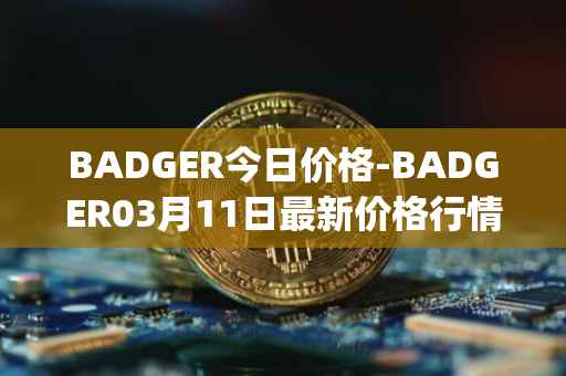BADGER今日价格-BADGER03月11日最新价格行情-badger-dao最新走势消息