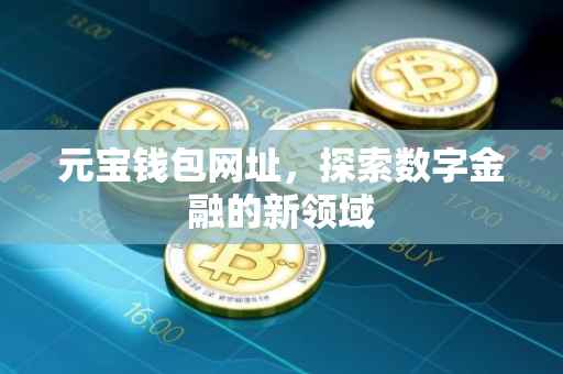 元宝钱包网址，探索数字金融的新领域
