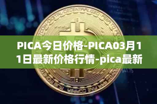 PICA今日价格-PICA03月11日最新价格行情-pica最新走势消息