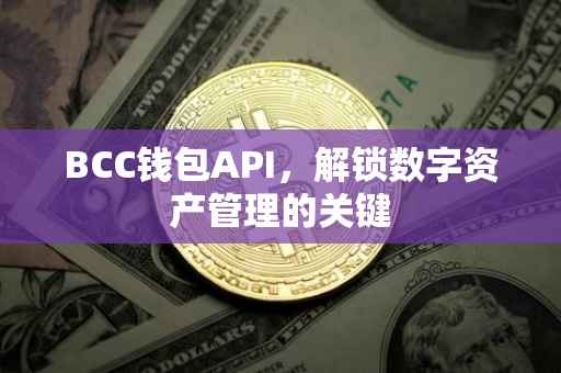 BCC钱包API，解锁数字资产管理的关键