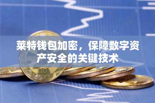 莱特钱包加密，保障数字资产安全的关键技术