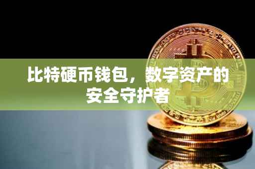 比特硬币钱包，数字资产的安全守护者