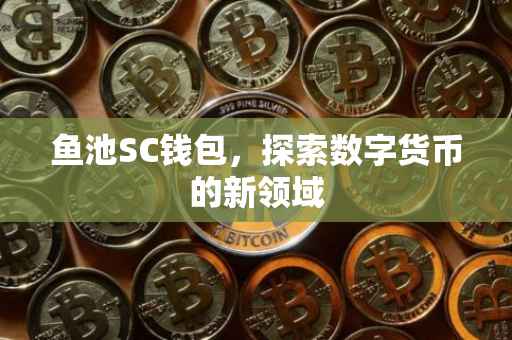 鱼池SC钱包，探索数字货币的新领域