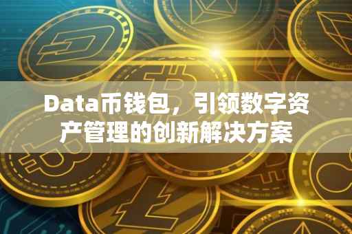 Data币钱包，引领数字资产管理的创新解决方案