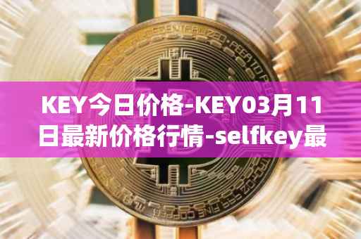 KEY今日价格-KEY03月11日最新价格行情-selfkey最新走势消息