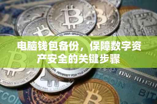 电脑钱包备份，保障数字资产安全的关键步骤