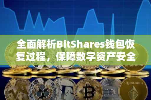 全面解析BitShares钱包恢复过程，保障数字资产安全的关键步骤