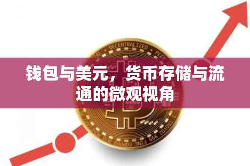 钱包与美元，货币存储与流通的微观视角