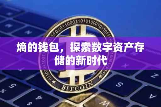 熵的钱包，探索数字资产存储的新时代