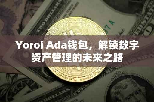 Yoroi Ada钱包，解锁数字资产管理的未来之路