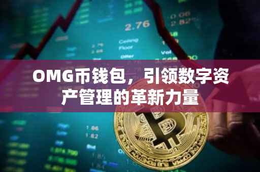 OMG币钱包，引领数字资产管理的革新力量