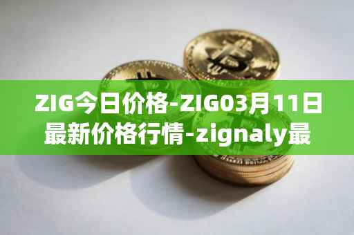 ZIG今日价格-ZIG03月11日最新价格行情-zignaly最新走势消息