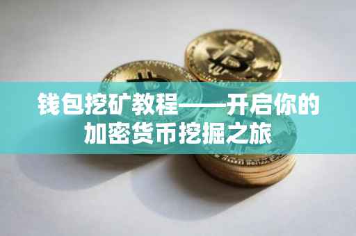钱包挖矿教程——开启你的加密货币挖掘之旅