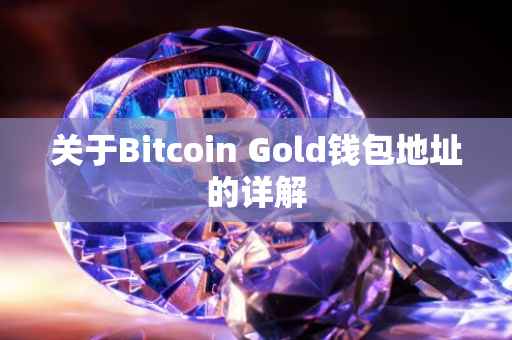 关于Bitcoin Gold钱包地址的详解