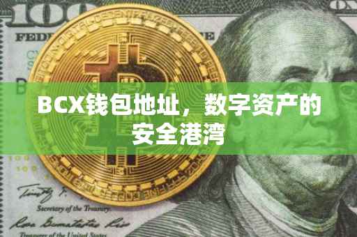 BCX钱包地址，数字资产的安全港湾