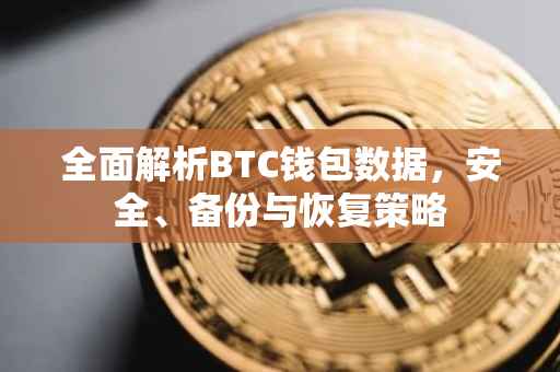 全面解析BTC钱包数据，安全、备份与恢复策略