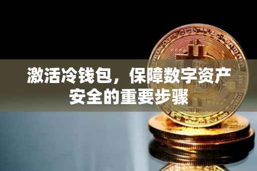 激活冷钱包，保障数字资产安全的重要步骤