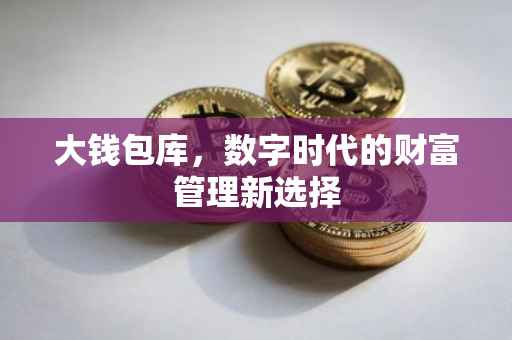 大钱包库，数字时代的财富管理新选择