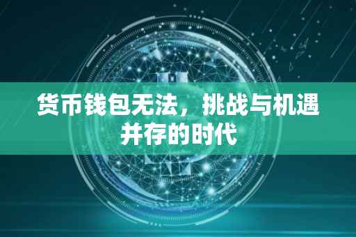 货币钱包无法，挑战与机遇并存的时代