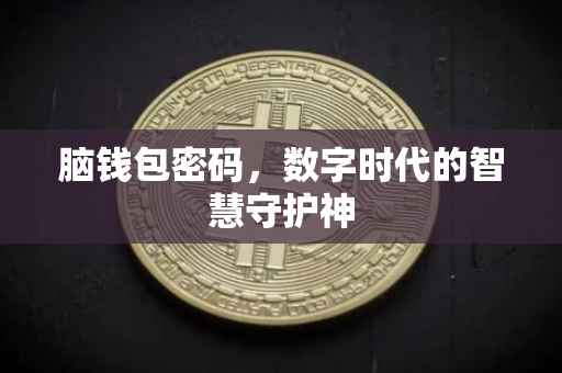 脑钱包密码，数字时代的智慧守护神