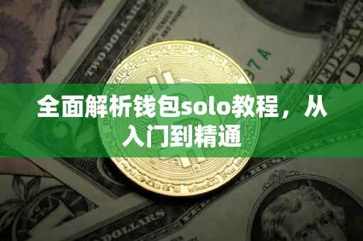 全面解析钱包solo教程，从入门到精通
