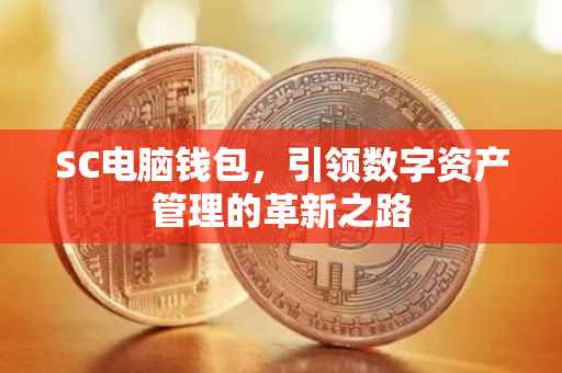 SC电脑钱包，引领数字资产管理的革新之路