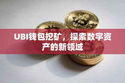 UBI钱包挖矿，探索数字资产的新领域