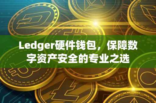 Ledger硬件钱包，保障数字资产安全的专业之选