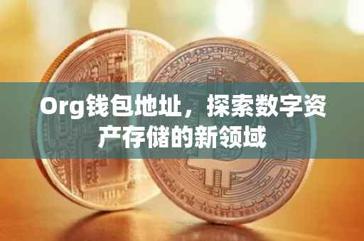 Org钱包地址，探索数字资产存储的新领域