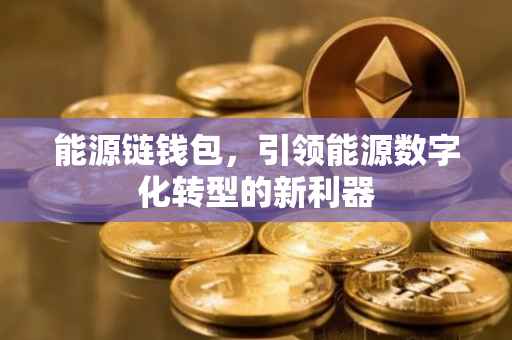 能源链钱包，引领能源数字化转型的新利器