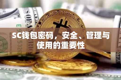 SC钱包密码，安全、管理与使用的重要性