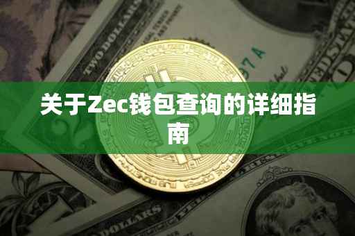关于Zec钱包查询的详细指南