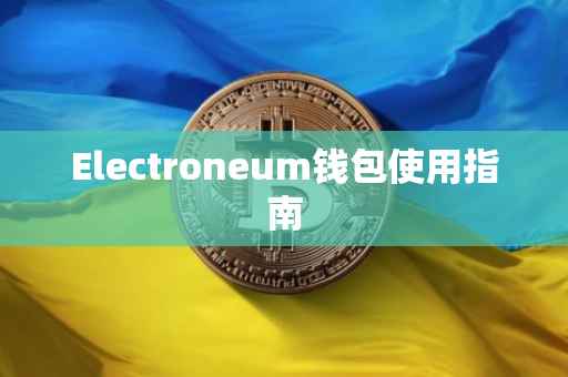 Electroneum钱包使用指南