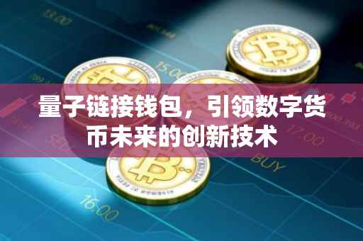 量子链接钱包，引领数字货币未来的创新技术
