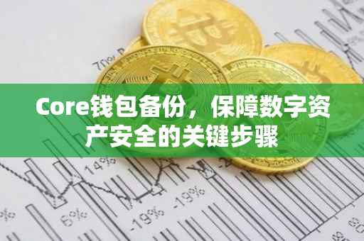 Core钱包备份，保障数字资产安全的关键步骤