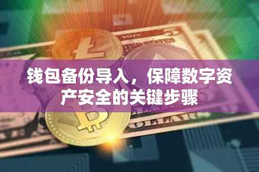 钱包备份导入，保障数字资产安全的关键步骤