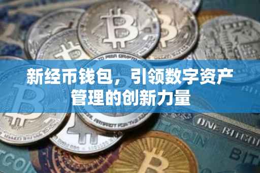 新经币钱包，引领数字资产管理的创新力量