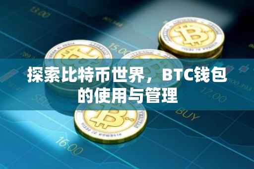 探索比特币世界，BTC钱包的使用与管理
