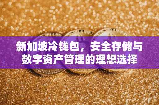 新加坡冷钱包，安全存储与数字资产管理的理想选择