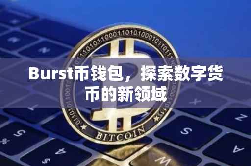 Burst币钱包，探索数字货币的新领域