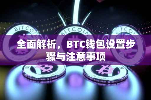 全面解析，BTC钱包设置步骤与注意事项