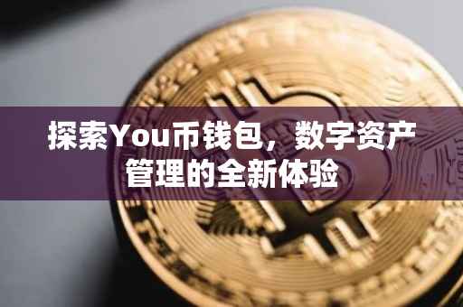 探索You币钱包，数字资产管理的全新体验