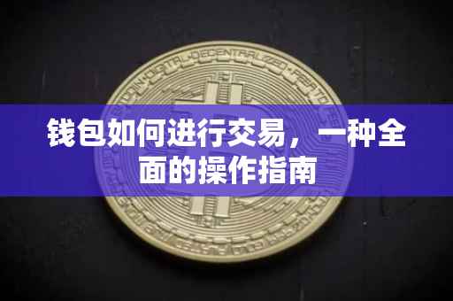 钱包如何进行交易，一种全面的操作指南