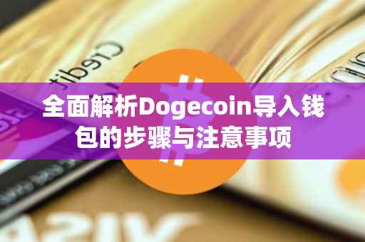 全面解析Dogecoin导入钱包的步骤与注意事项