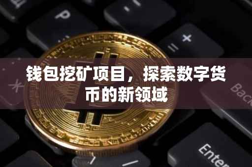 钱包挖矿项目，探索数字货币的新领域