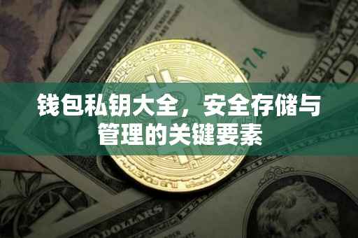 钱包私钥大全，安全存储与管理的关键要素