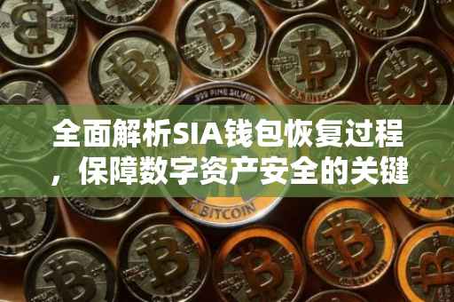 全面解析SIA钱包恢复过程，保障数字资产安全的关键步骤