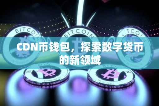 CDN币钱包，探索数字货币的新领域